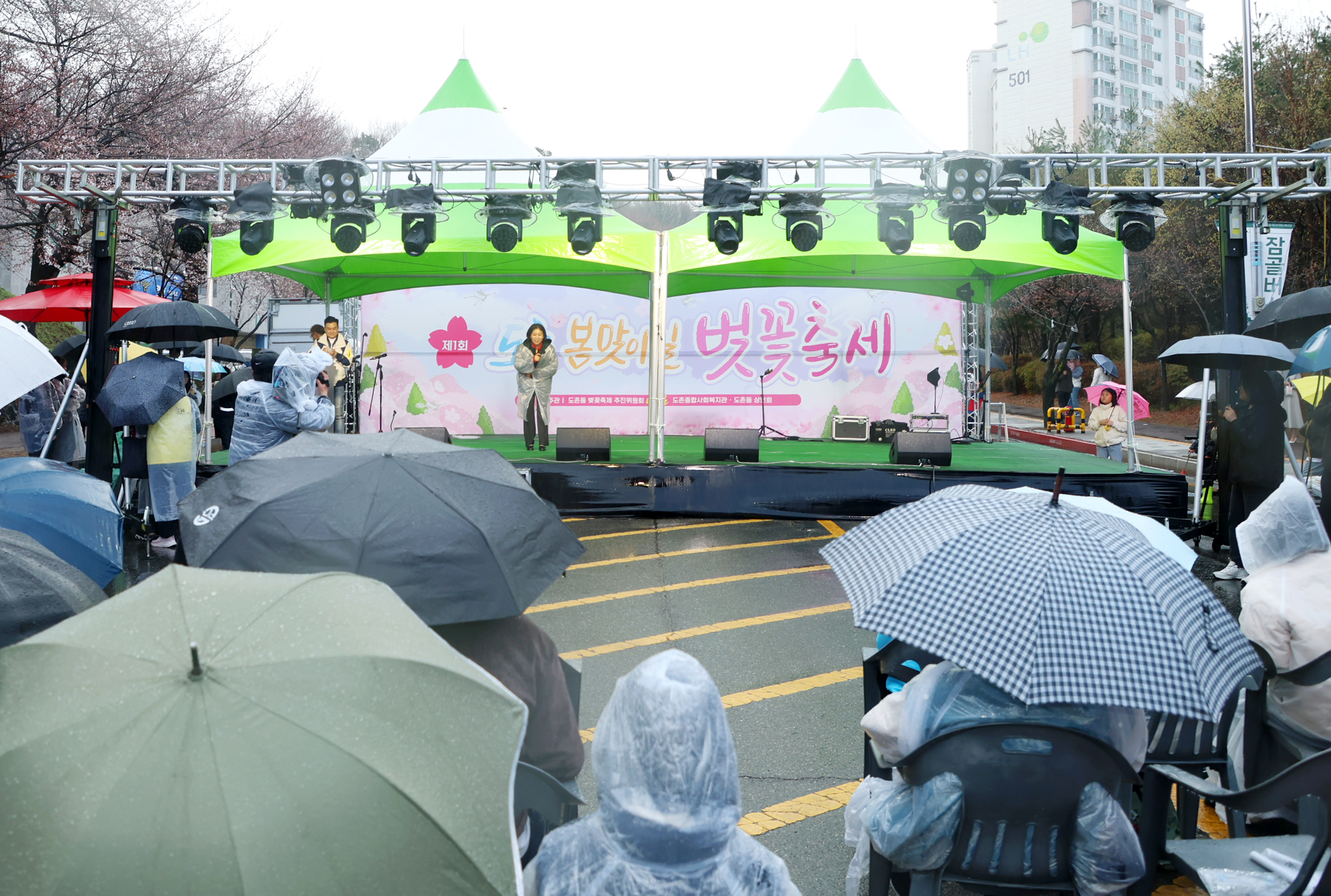 2025년 제1회 도촌 봄맞이길 벚꽃축제 - 2