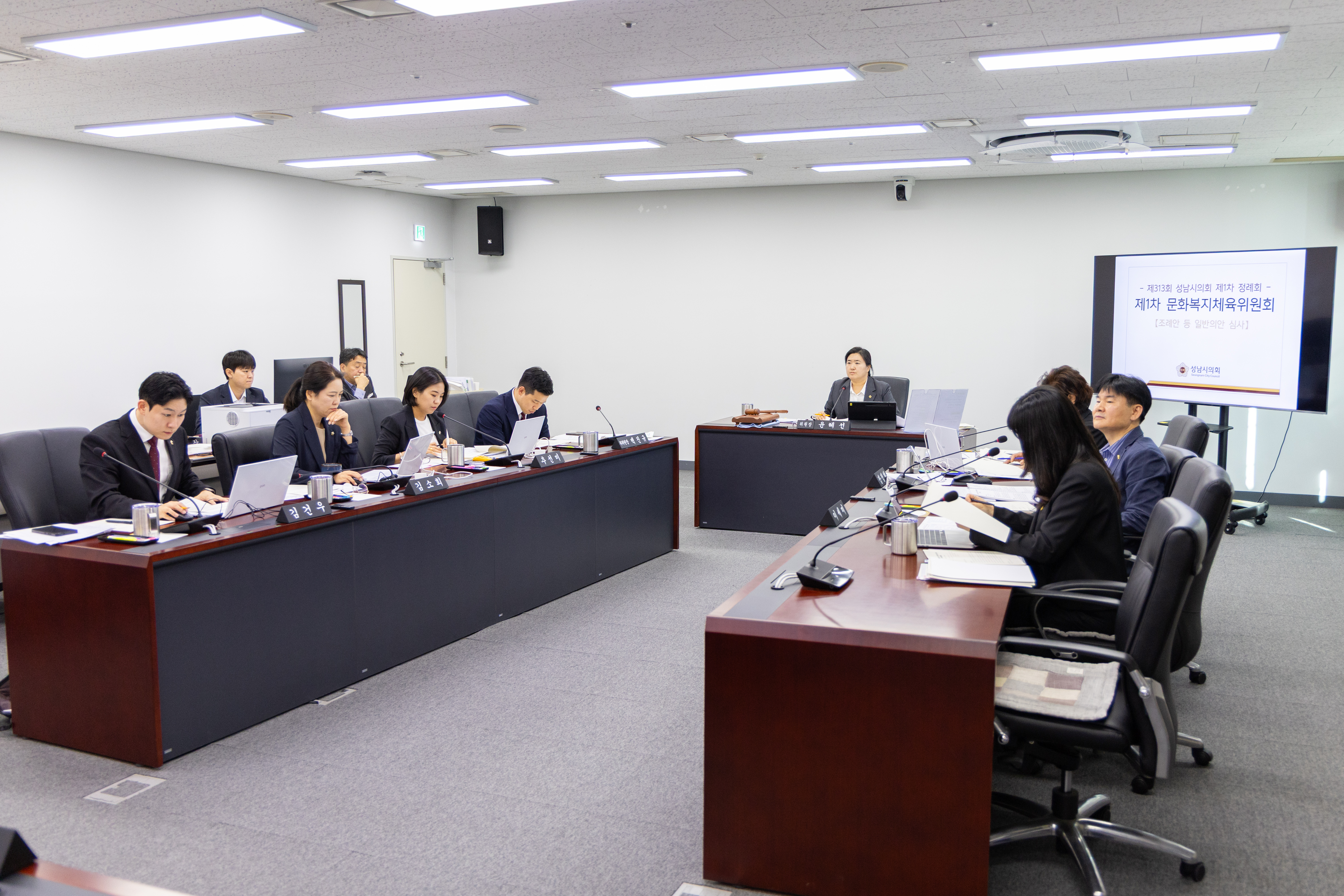 제313회 성남시의회 제1차 정례회 1차 문화복지체육위원회 - 2